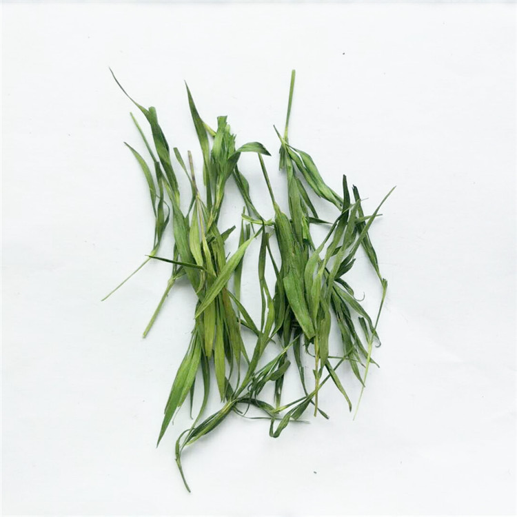 bamboo leaf tea supplier -NatureChoice