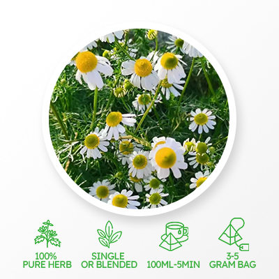 Chamomile Sliming Tea