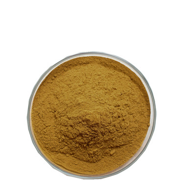 Plant extract wholesale - NATURECHOICE