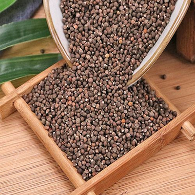 Perilla Seed