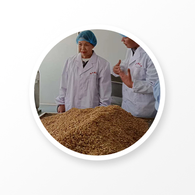 Codonopsis root workshop