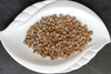 Burdock Root Slice 