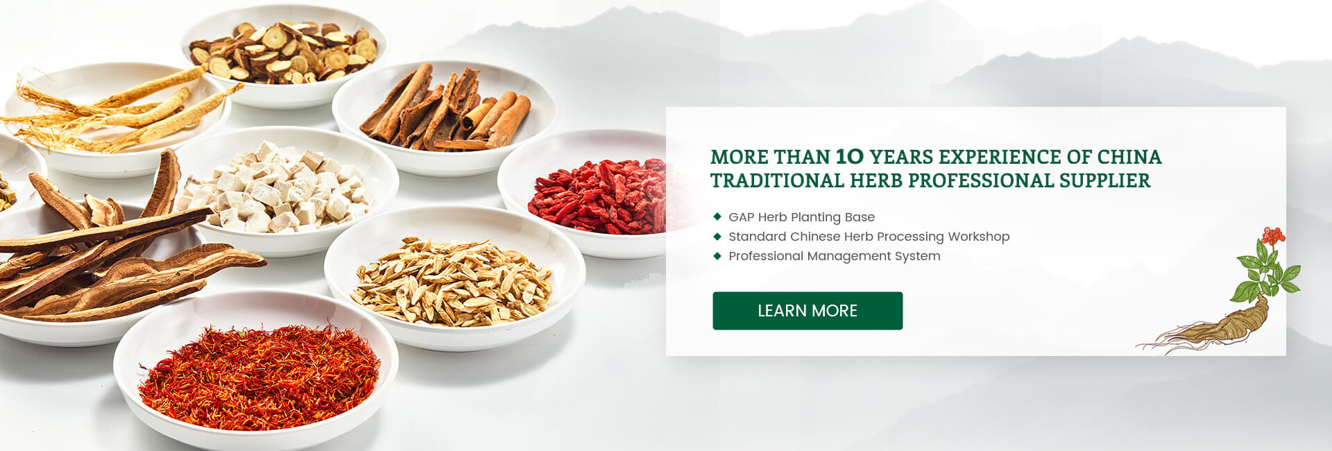  China Traditional Herb Professional supplier - NATURECHOICE