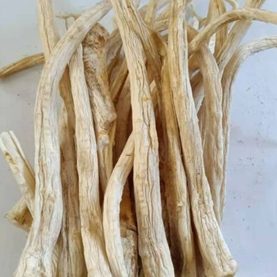 Radix Platycondon-NatureChoice