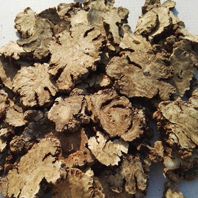 Chuanxiong Rhizoma