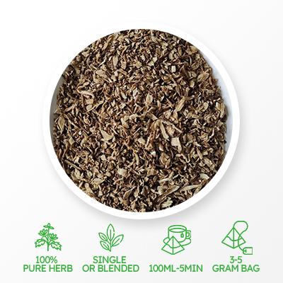 Chinese Angelica Teabag 