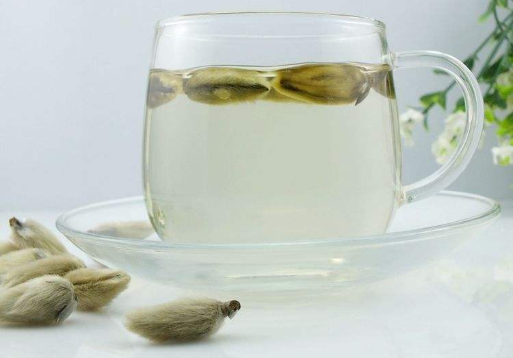 Flos Magnoliae Tea-NatureChoice