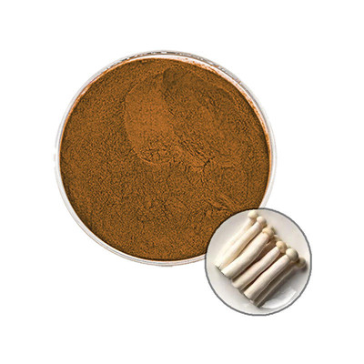 Coprinus Comatus Extract 