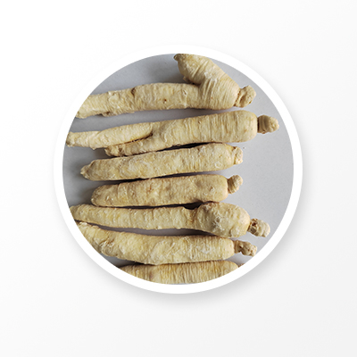 Freeze White Ginseng Root
