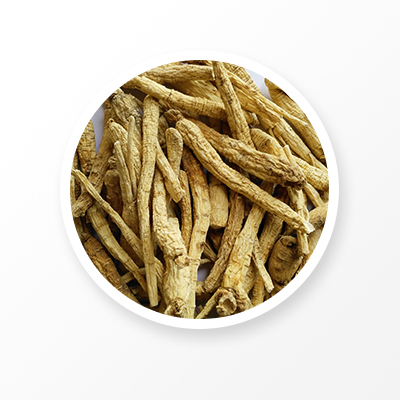ginseng root extract powder -NatureChoice