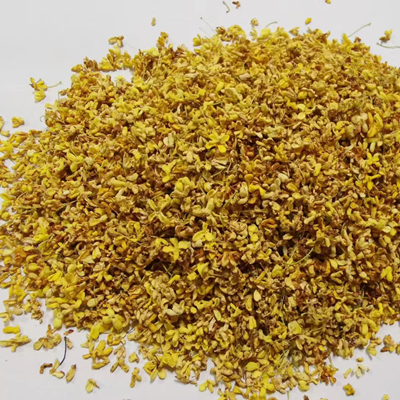 osmanthus trees for sale -NatureChoice