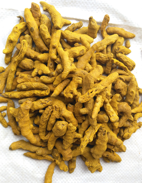 Organic Turmeric Root