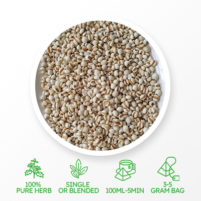 Coix Seed Whitening Tea