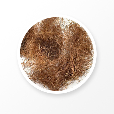 Corn Silk 