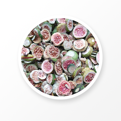 Guava Fruit