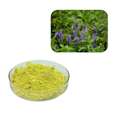 Baical Skullcap Root extract