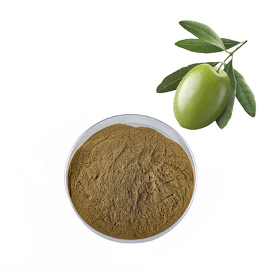 Olive Extract