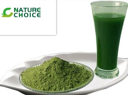 Organic Alfalfa Juice Powder 