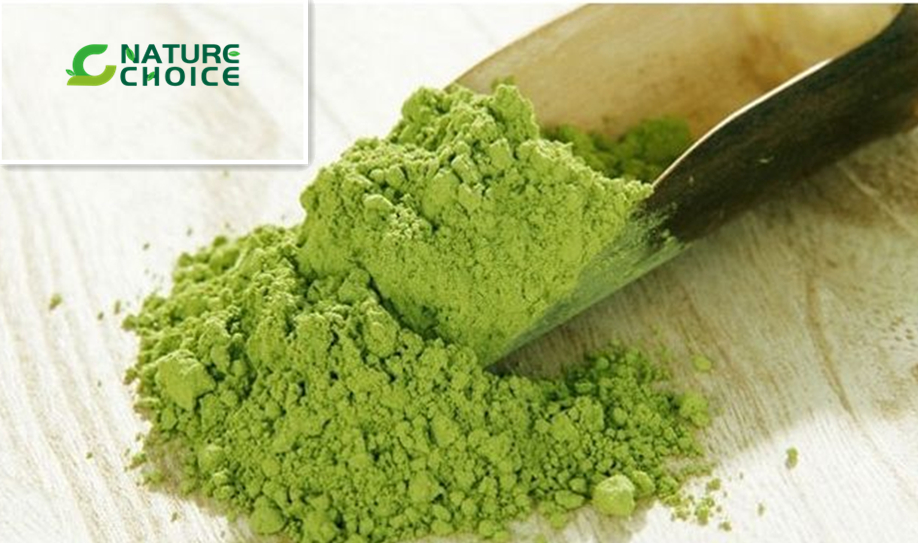 Organic Matcha powder-NatureChoice
