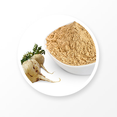 Maca Extract Powder