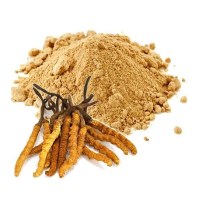 Cordyceps Extract 
