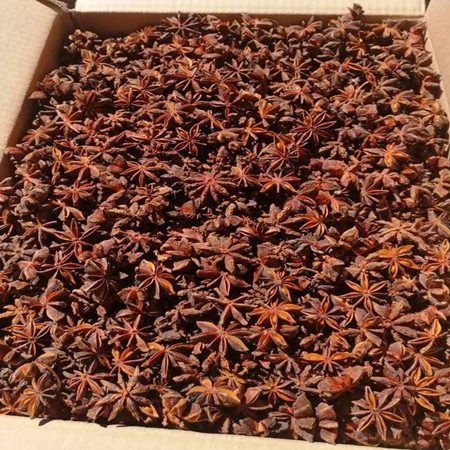 Star Anise