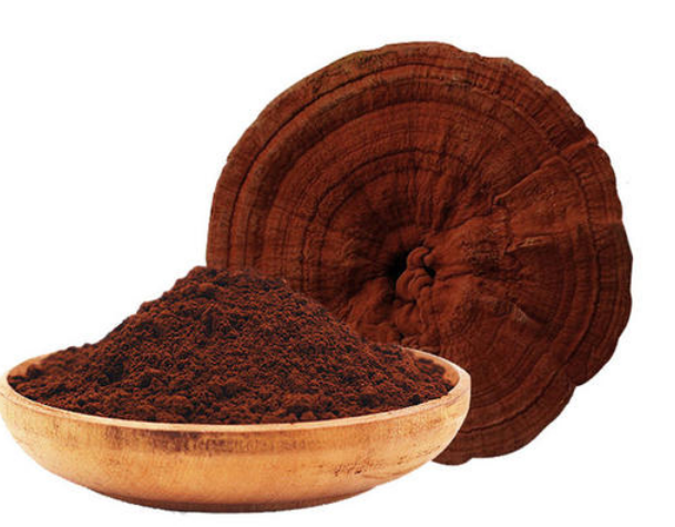 Organic ganoderma lucidum Powder buy -NATURECHOICE