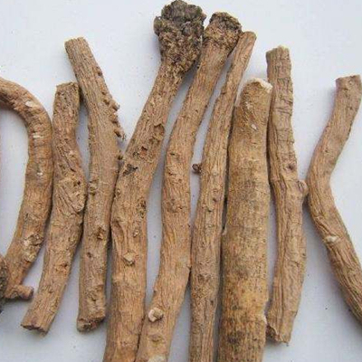 Radix Isatidi-NatureChoice