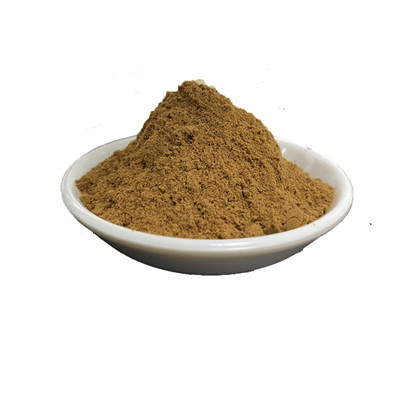 Ganoderma Lucidum Mushroom Extract