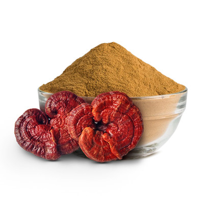 Reishi Mushroom Extract