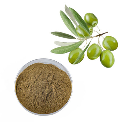 Olive Extract