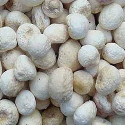 Pinellia ternata cost -NatureChoice