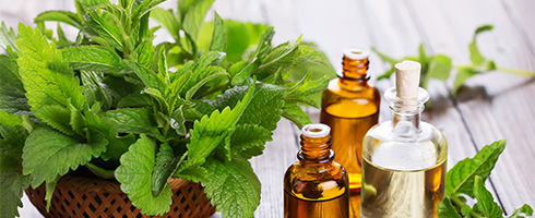 Herb extract - NATURECHOICE