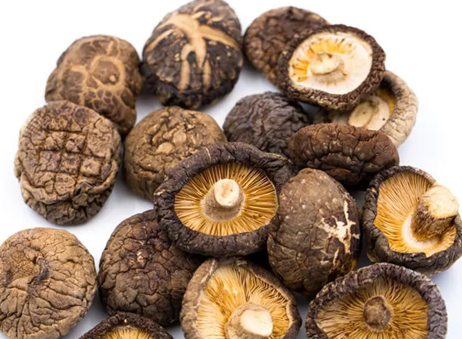 Organic Shiitake Mushroom Extract 