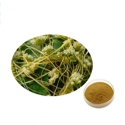Dodder Seed Extract
