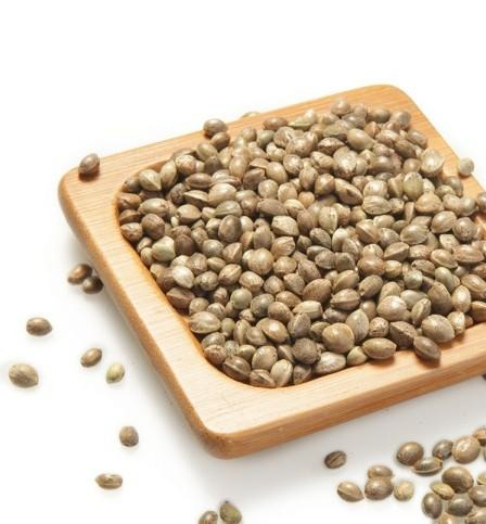 Organic Hemp Seed