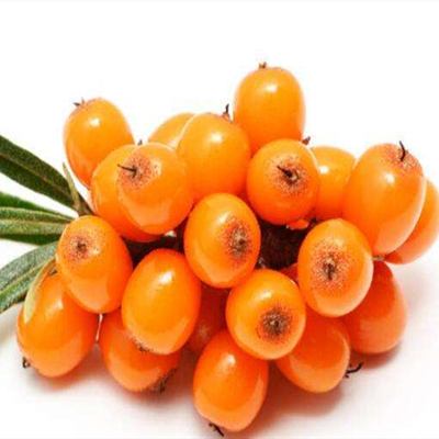 Freeze Dried Sea Buckthorn Powder