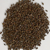 Cassia Seed